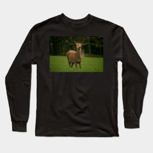 Roe deer Long Sleeve T-Shirt